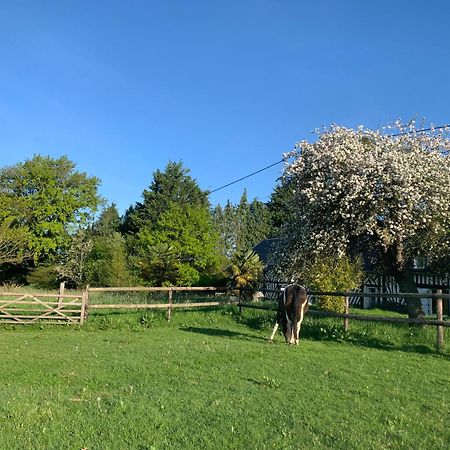 Gîte Le bonheur est dans le pré Saint-Pierre-Des-Ifs  Exterior foto