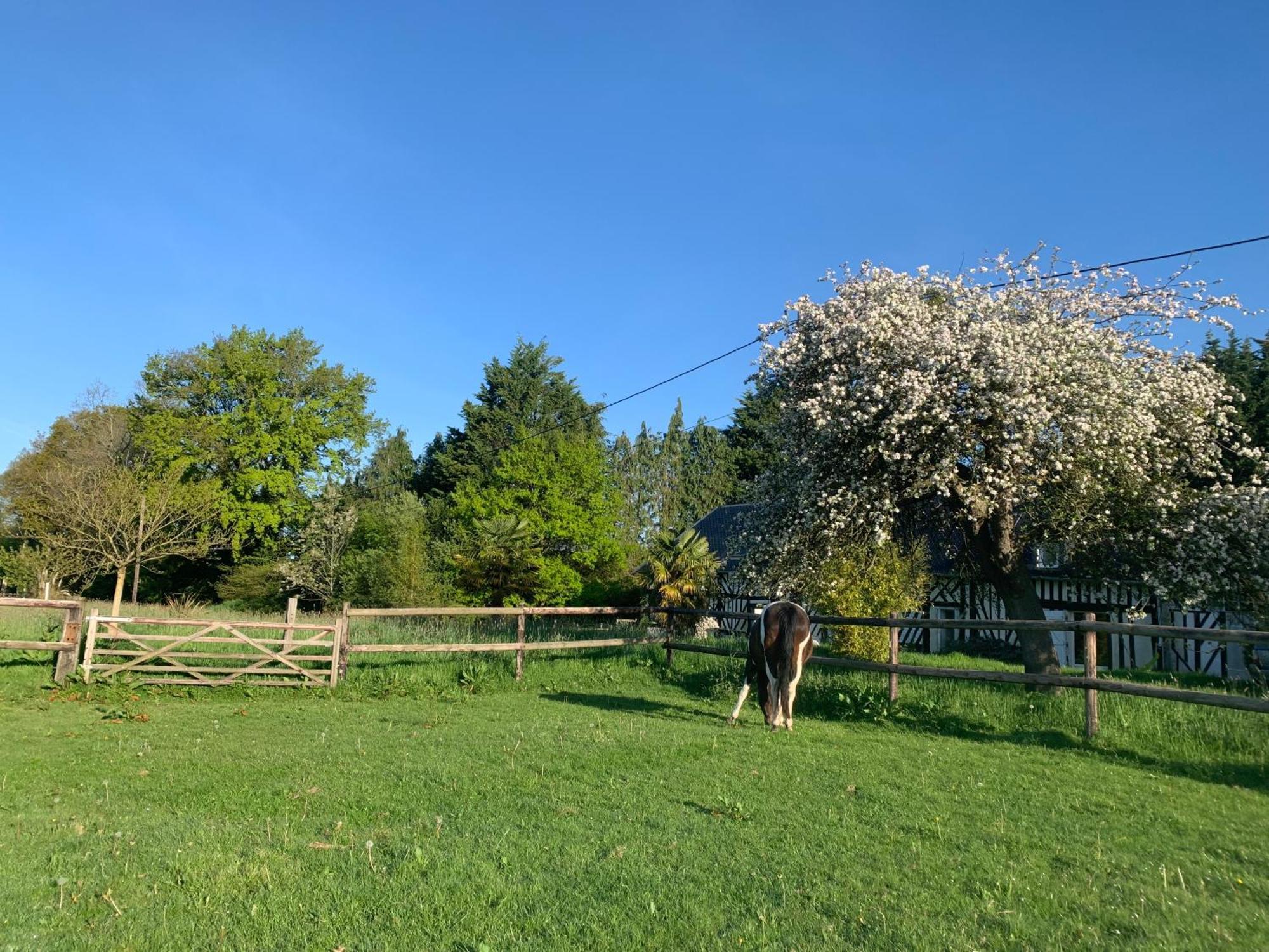 Gîte Le bonheur est dans le pré Saint-Pierre-Des-Ifs  Exterior foto