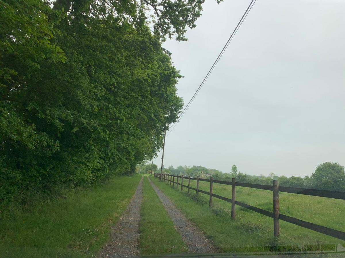 Gîte Le bonheur est dans le pré Saint-Pierre-Des-Ifs  Exterior foto