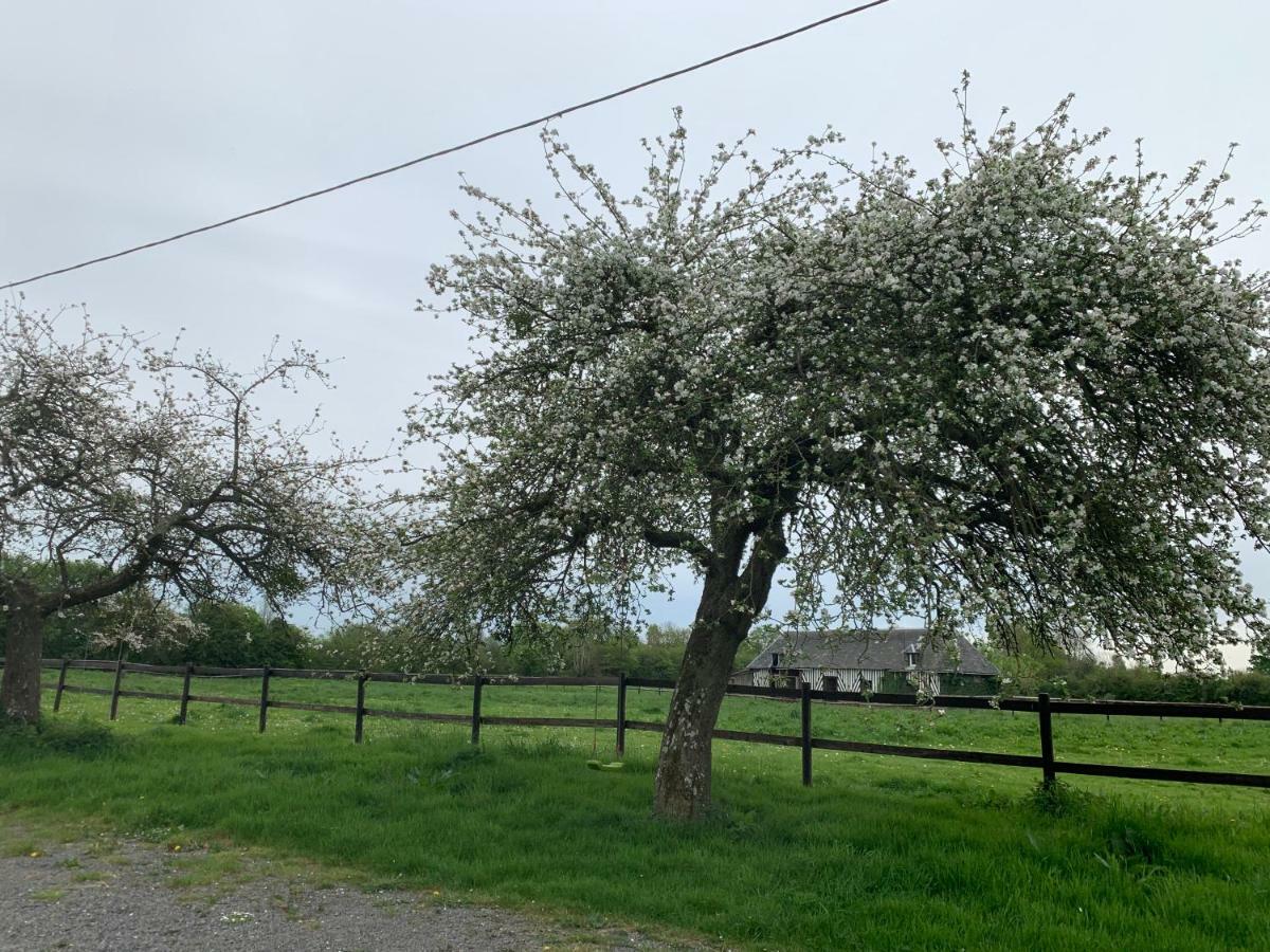 Gîte Le bonheur est dans le pré Saint-Pierre-Des-Ifs  Exterior foto